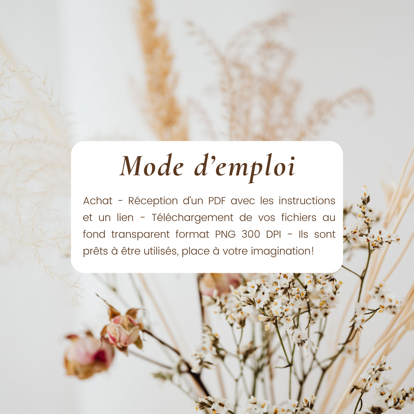 Cliparts Fleurs Marguerites pour vos Invitations - Premium Magazine de voguance - Seulement €3! J'achète maintenant voguance